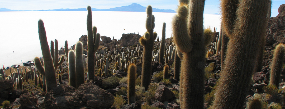 G̃Ej΂𖞋iIT{e̓ł́A}킦I