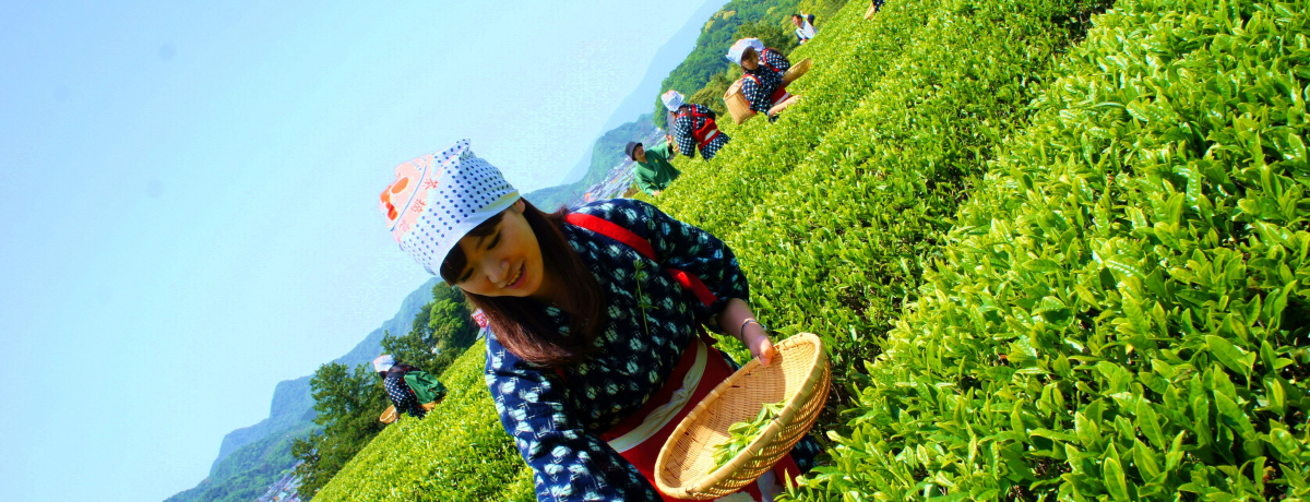 ԌI`ߑŒEݑ̌IÉuv͂̐EY̗!?