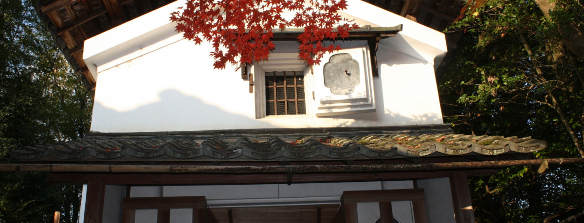 s k 哰BgtƐΐR̐lɏo̂