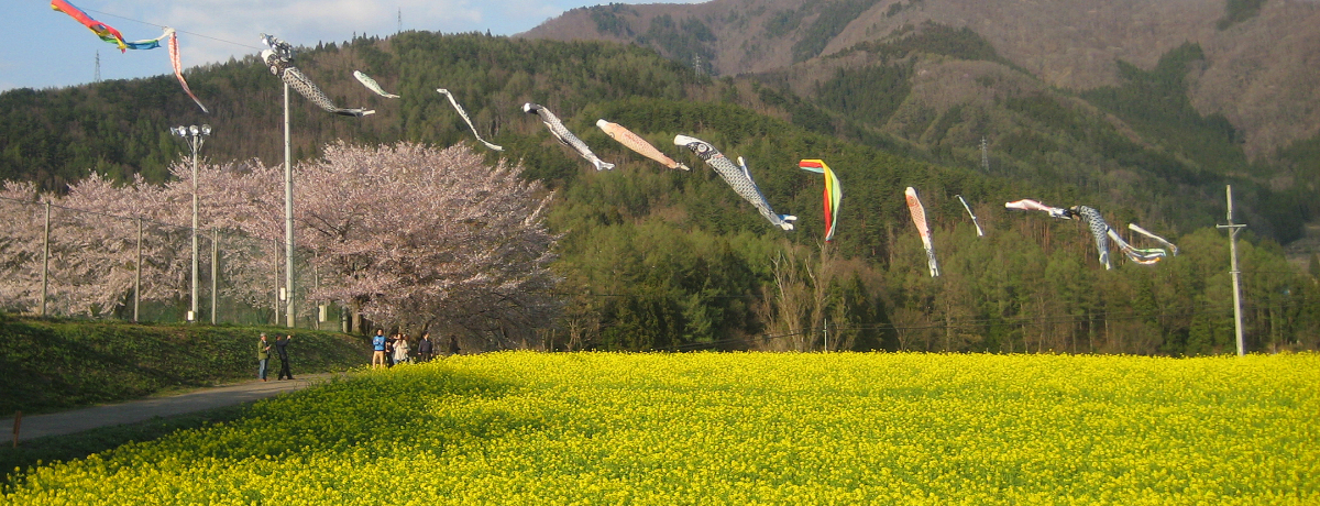 ��ʂ̍؂̉ԂɈ��|�I�u���ڂ댎��v�̃��`�[�t�I�юR�s�E�؂̉Ԍ���