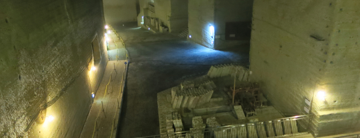 �n���̍̌@�ꂩ����{�ŌÂ̖��R���܂ŁI�F�s�{ ��J�΂����闷