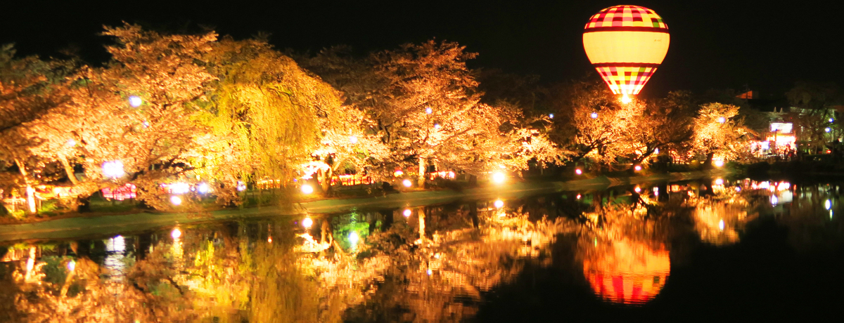 rɉf荞Ŕ{yI쌧{su痳vɂ͔MČI