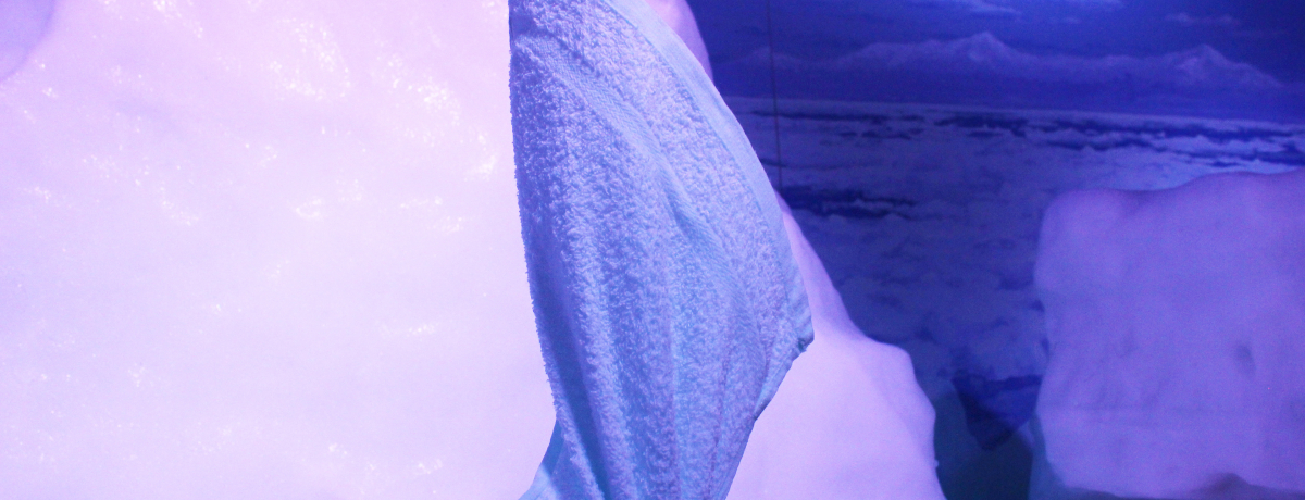 ^I!?ԑuIz[cNXفvł΂̌