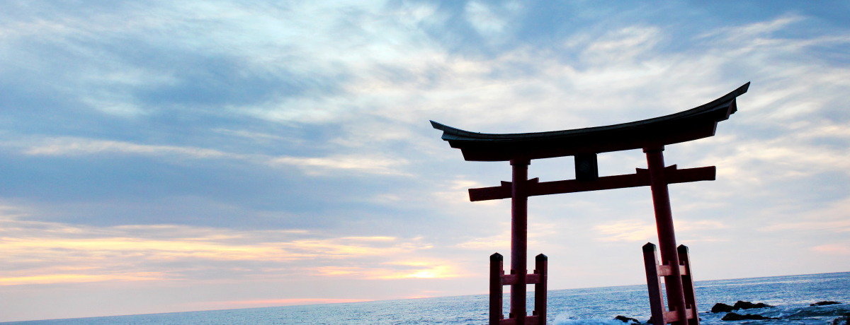 DEʐ^DȂOȂIkCuRʑv̐iX|bg