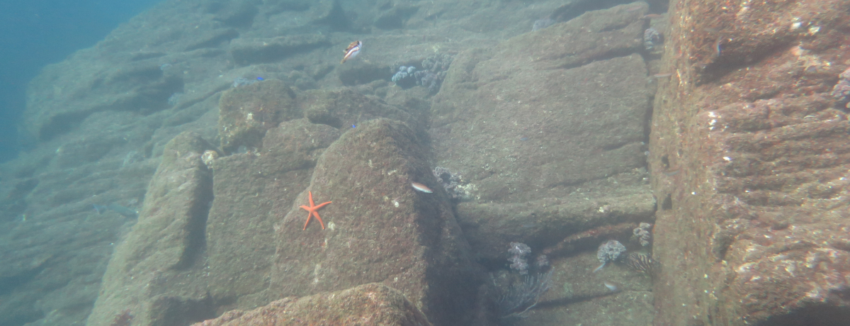 MCEɓRŃ_CrOǏQɊ悤