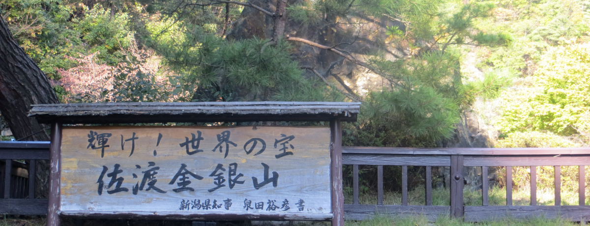 �C����R���艷�򂠂�I���n���̌��ǂ���̓R�R���I