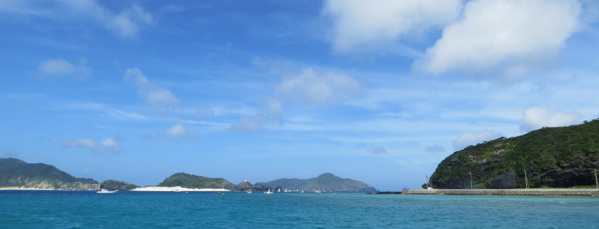 ����ł̃_�C�r���O�f�r���[�́A���S�Ō��ǂ���������c�ǊԂ��I�X�X���I