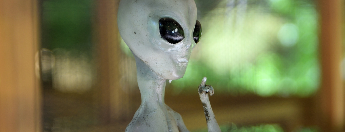 zԂ^Iqu@vœ̉Flف[ɑ