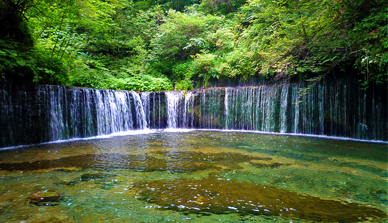 ���{���}���`�b�N�X���h���C�u�I�ڗ�����y���ւ̐�i�T�I