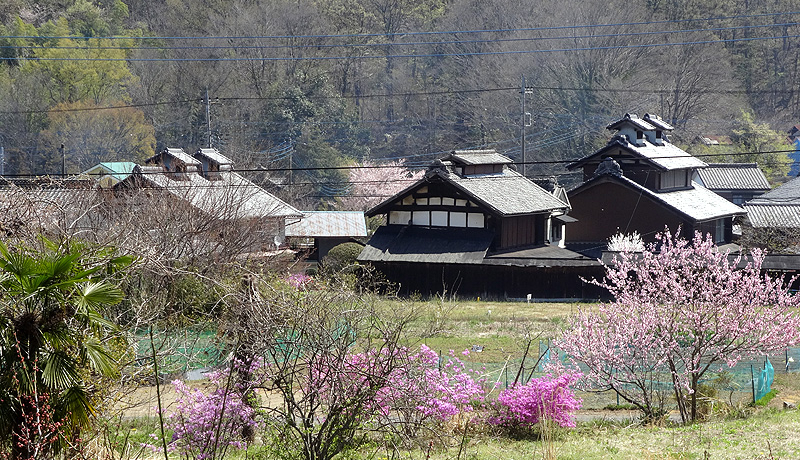 {OTUGIiɍʂꂽ{sE̗̕S̊ω