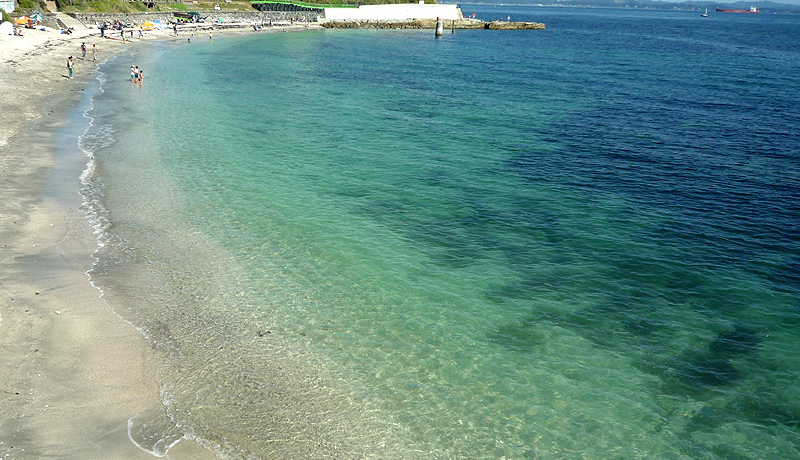 �S�W�����㗤�I�H���̒m�V�̉��{��X�g�[���[�u�ω���v