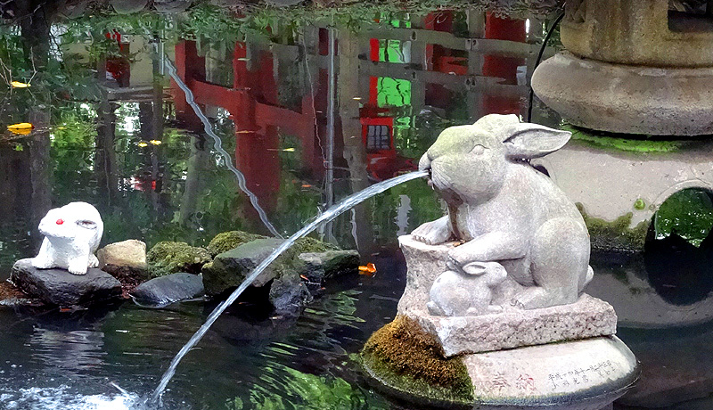 ̎g!ʁE_Ђ͓eK^ԃbL[_