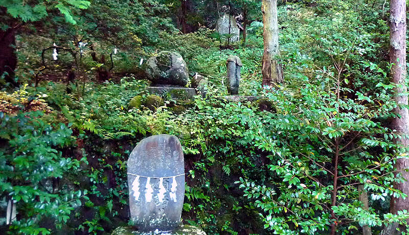 vƖI킫{̃p[X|bguʂv