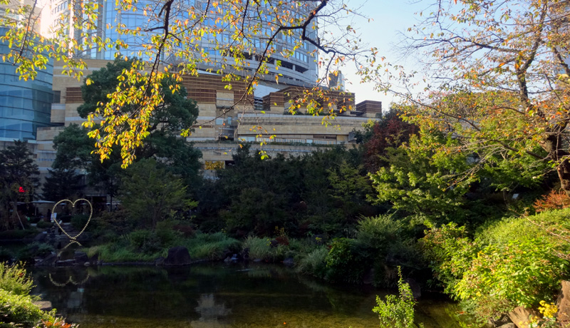 ���̘Z�{�؃q���Y���ԕ�`�m�ؕ��̒n!?���b���E�`��U��