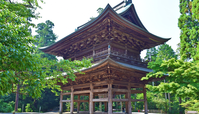 Ėڟ΂͗ڂ!?qE~oş΍i𖡂키ґ