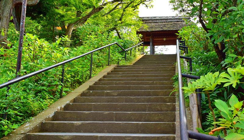 �~�V������3���̉��؎��I�t�����X�l�������銙�q�E���c���̖��͂�T��