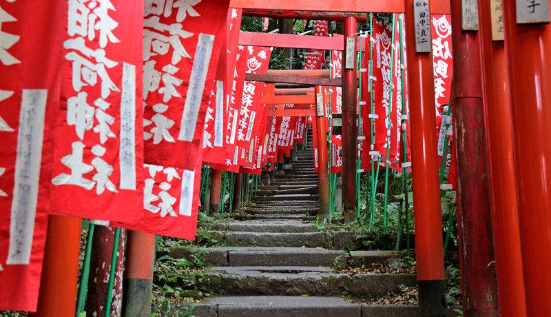 ���q�E�����R�͏o���E���^�E�����сu�g���v���X���[�v�̃p���[�X�|�b�g�I