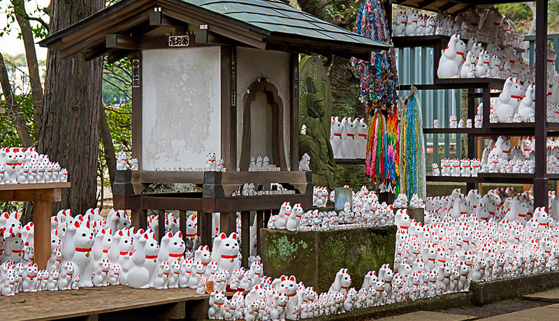 cJ̍ŁsL{ɒJЂɂtɂȂ