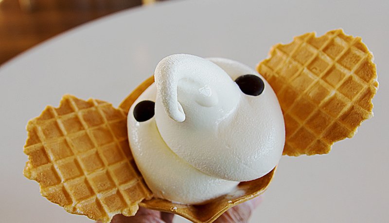 lf[gX|bgIuۂ̕@p[NvyނT̃|Cg