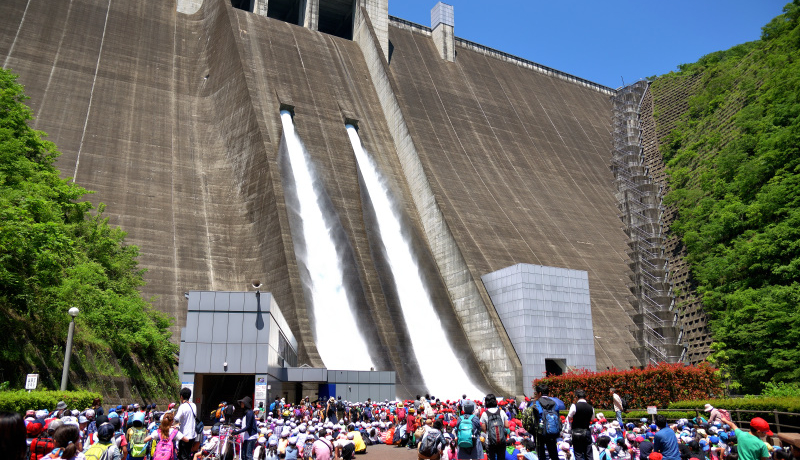 �����E�u���E�����V���[�I���͌��s�u�{�P���΁v�̓_���̃e�[�}�p�[�N