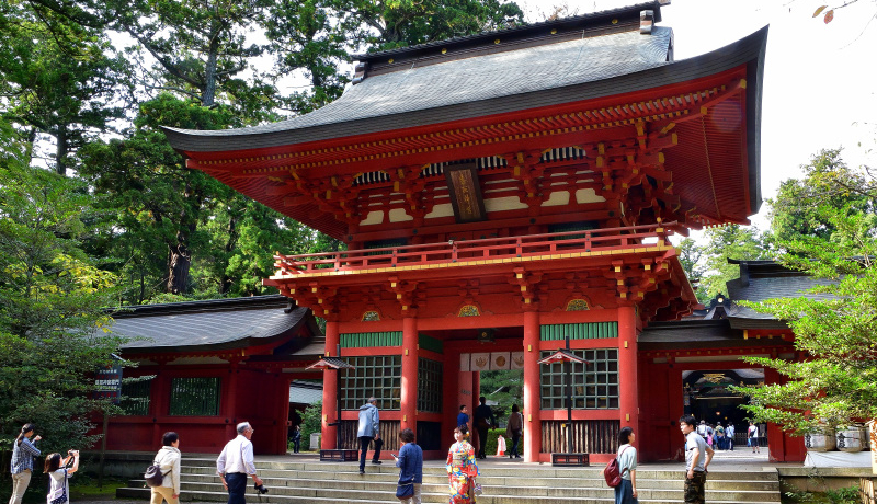 �֓��̃c�[�g�b�v���_�I��t���u����_�{�v�̃c�C���p���[