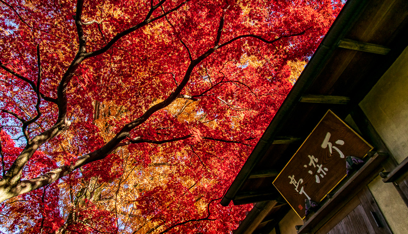 Î̔RԁIgt̖Ezu@v̉fX|bg