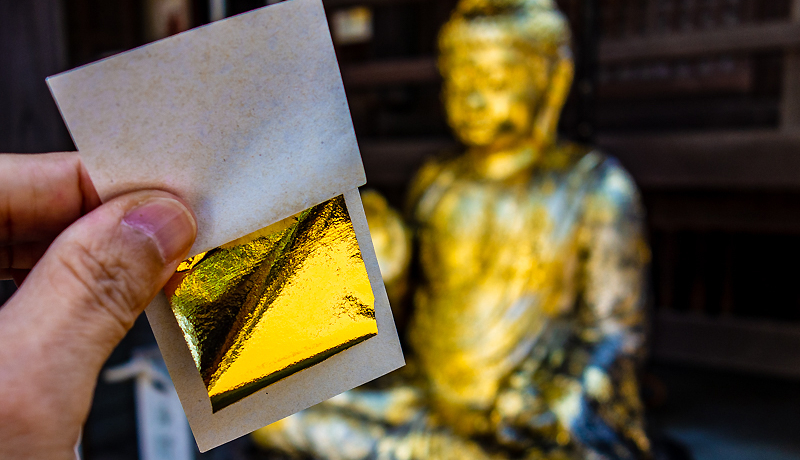 \ĂvIڍu嚢vŐSƐĝ̂Y݉