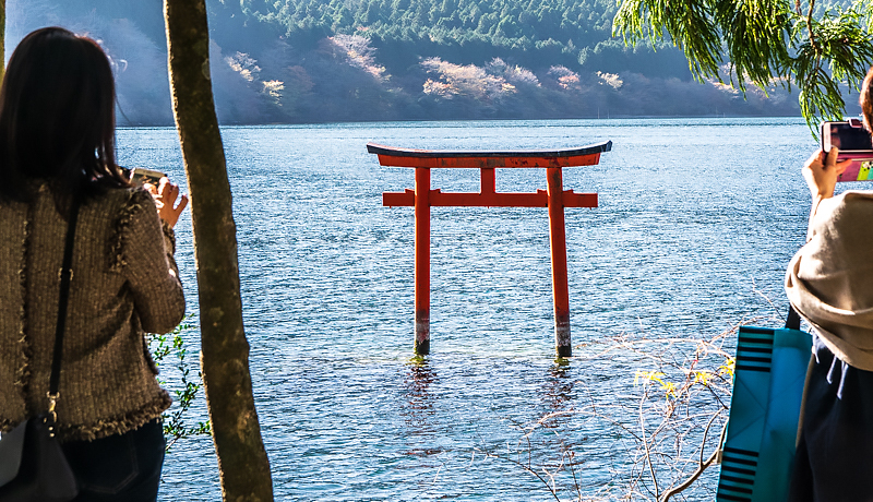 т̐nIu㓪_ {{v̓Jbvɂ