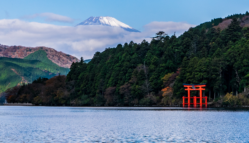 �����v�Ɛ�i�̗ǂ��Ƃ��ǂ�I�����O�Џ���Ńp���[�A�b�v