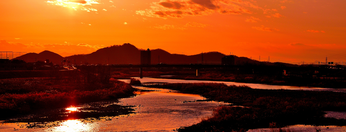 X痢unǐvȂ̕iIs̖GĂ܂[