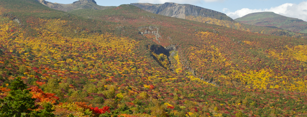 ��i�I���{�S���R����B���ǎR���360�x��p�m���}�A�V��̍g�t���イ����