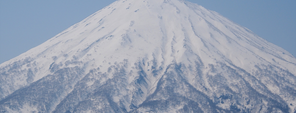 �h���C�u�ŗr���R�𖞋i�I����276�����ɂ���W�]�X�|�b�g