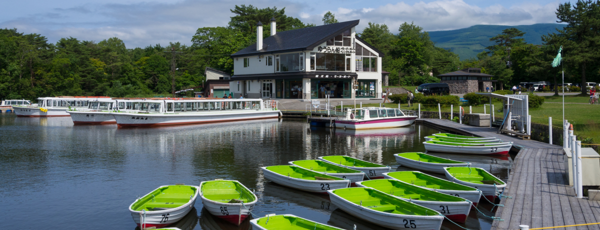 �k�C���E�����������̊ό��͐��ォ��I�V���D�ŃN���[�Y���悤