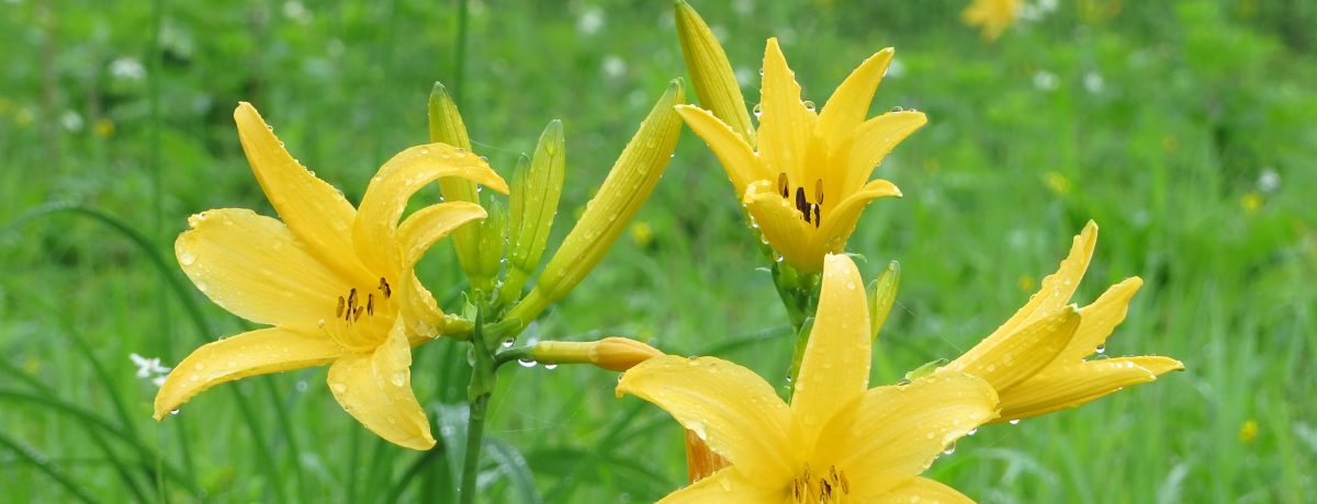 ̍][g~!ȃjbRELXQƖ~m