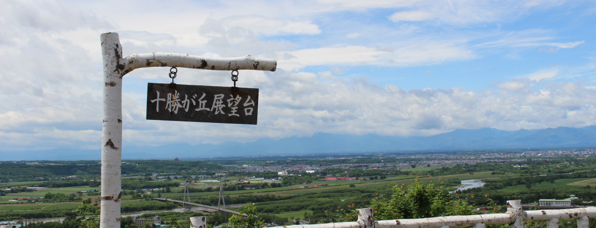 �\���E�эL�̃I�X�X���ό��X�|�b�g5�I!!�h���C�u�ɍœK��