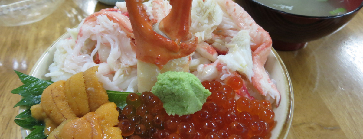 SLjZRōsMIOAOpsōȊCNɐہI