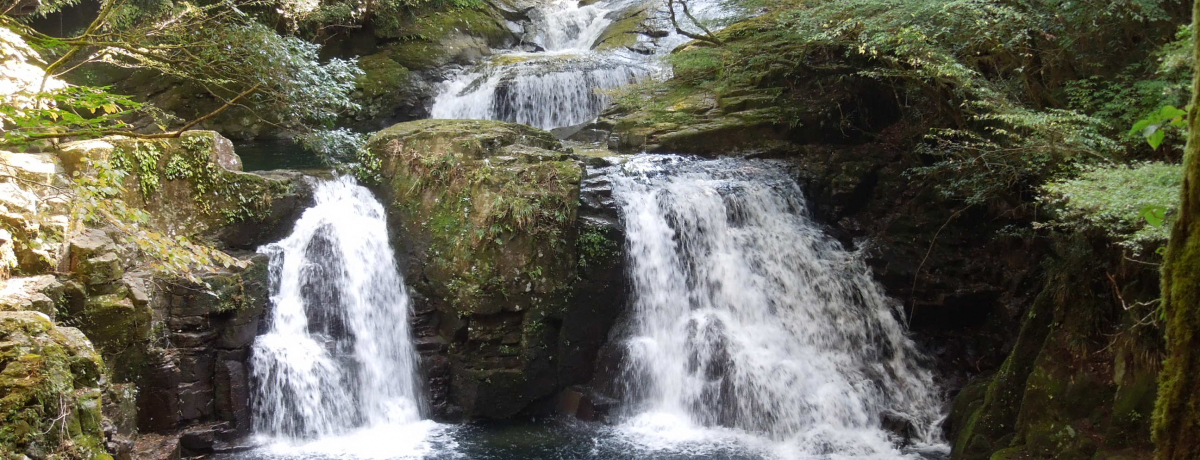 �Ԗڎl�\����Ń}�C�i�X�C�I���V�����[�𗁂т悤�I