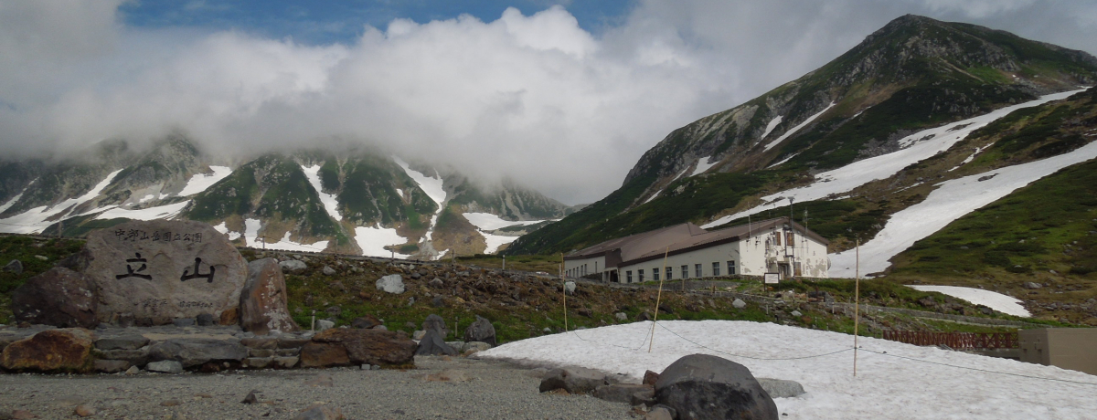 �w�R�����x�ɔ��܂�{�i�o�R�̌��`���R�A��ꔑ����̗�