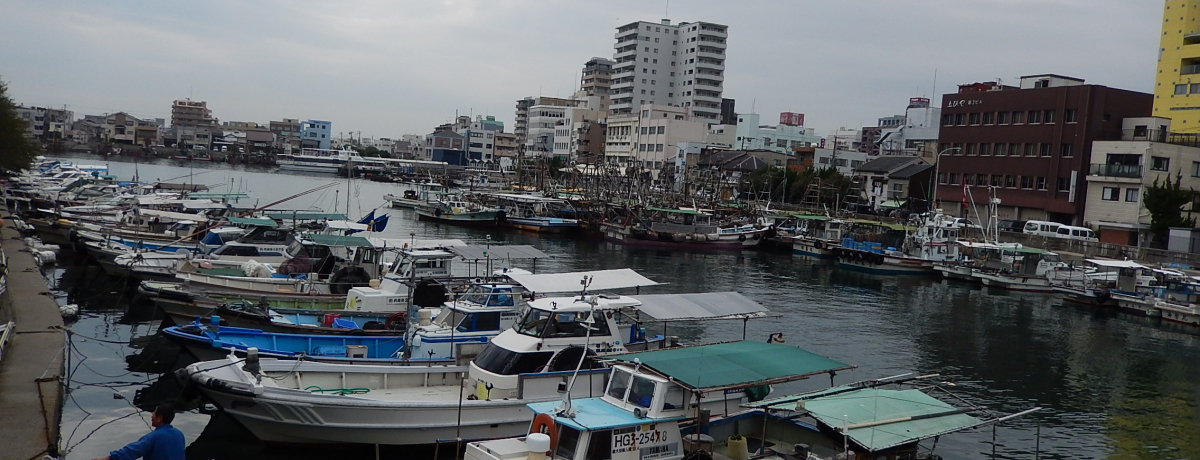 ���{�W���������ގ��v�̒��E���΂̊y���ݕ�