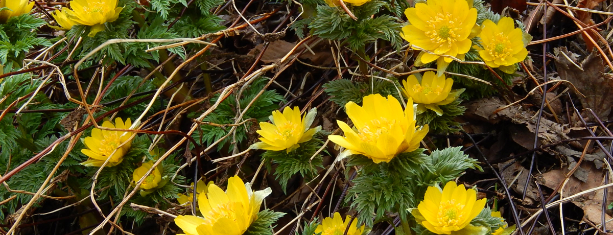 �t����������ȁw�������x������Ȃ��΁I�O�d�̓����x��