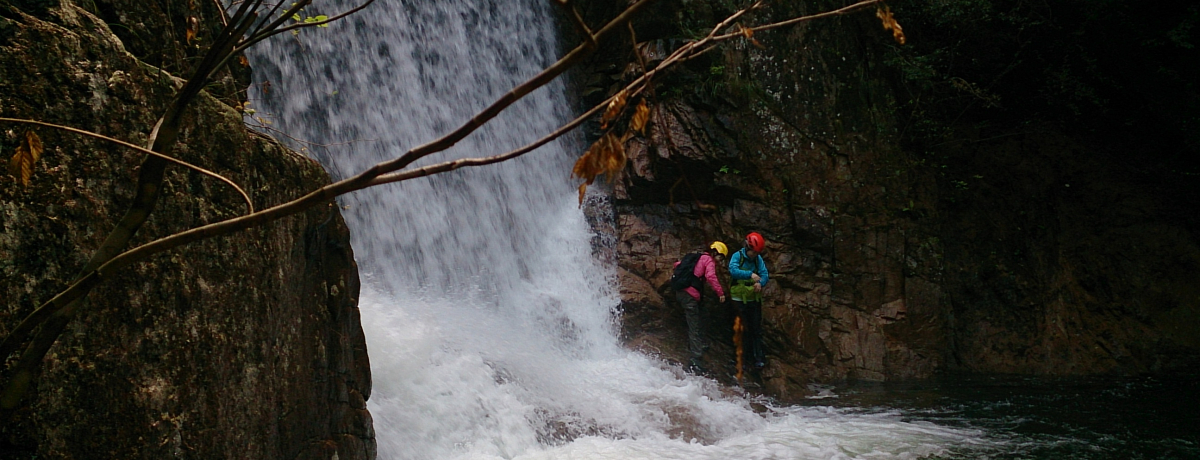 �_�ˁE���Z�b�őS�g���ԔG��I�u�V�����[�N���C�~���O�v�ɒ���