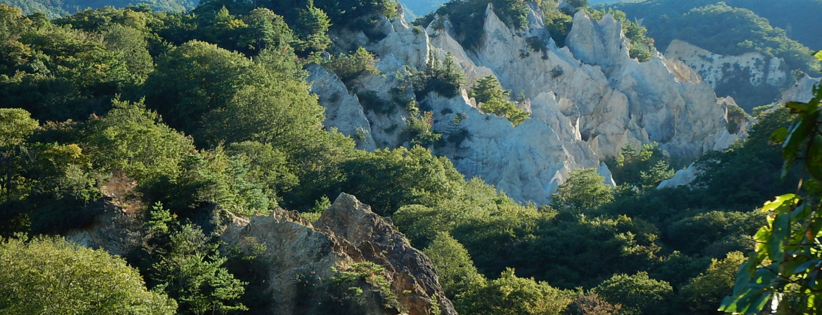 ���b�N�N���C�~���O����X�|�b�g�E���ɂ̖H�������悶�o��I