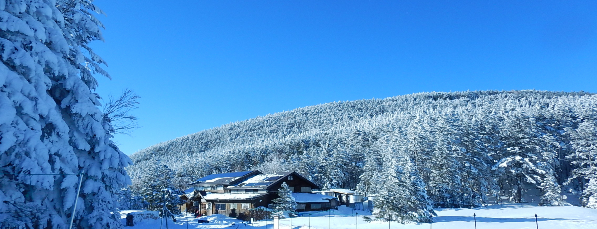 ����Ő�R�����`�������W�I�k�����x�̓��E���V��x�Ŋ����o�R��