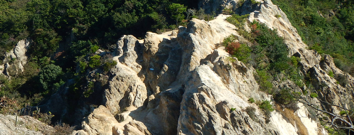 ͂ǂHAvX̖ɒpȂZbRE{AvXoRI