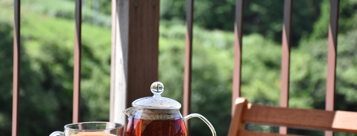 agɏoǂԂ낭K˂Iޗǎsňǂ