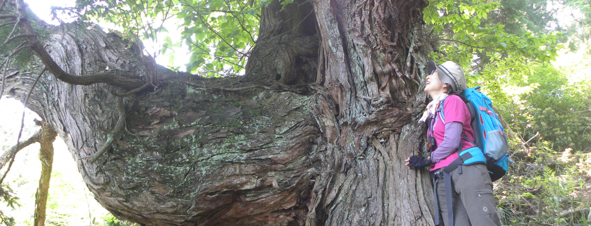 s{ḱu]RAgCv12̓̕RI