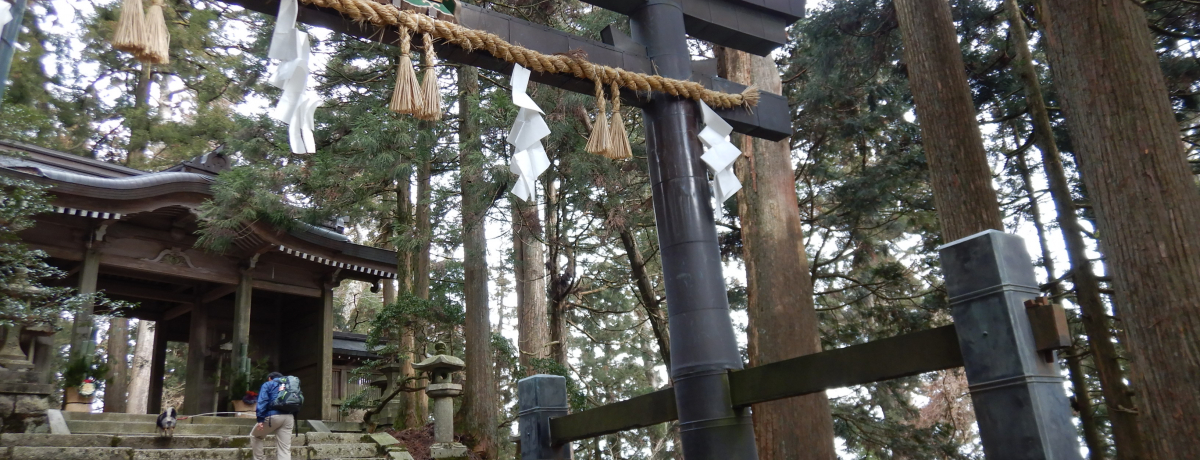 ���s�E�����R�փA�N�Z�X���Q�́u�c�c�W�������[�g�v�ōs���Ă݂悤�I