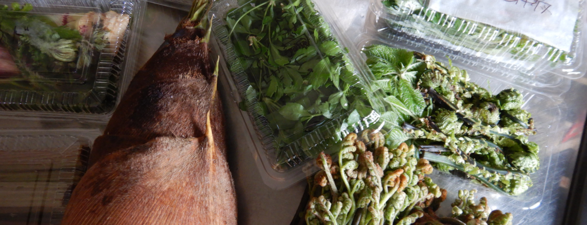 VR̎R؂񂹁IŎR؍Ղn߂܂傤