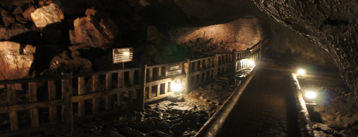 xm܌΂̋ĈÂ_Ŵ悤ȓAu΂茊v