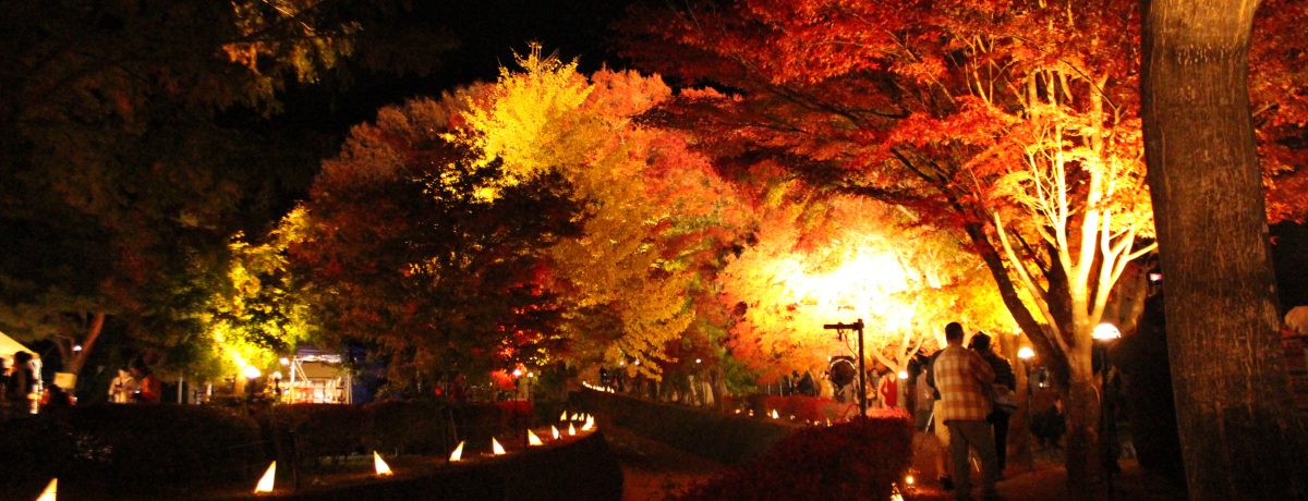 ĂIRxmRӁE͌΂̍gt|Cg